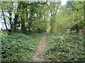 Public bridleway from Hook Road to Hursley Road in SO51 9DD