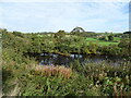 The River North Tyne, Glen Ridley in NE48 3LN