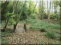 Waymarked footbridge, Hocombe Upper Plantation in SO21 2LE