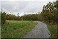 Track in Poulter Country Park in NG20 9BQ