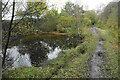 Pond and path in Poulter Country Park in NG20 9BQ