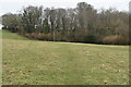 Footpath crossing field in TN33 0LS