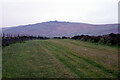 Pathway on the edge of Dartmoor common/access land in EX20 4BA