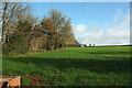 Field near Dundridge Lodge in TQ9 7PP