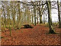 Track in Duncryne Wood, leading to Duncryne Hill in G83 8RZ