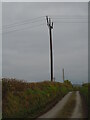 Pylon carrying power lines from Alltwalis Wind Farm in SA33 6HY