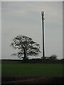 Mobile telephone mast, Awelfryn, Peniel Road, Carmarthen in SA33 6HY