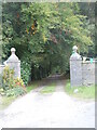 Mynediad i Plas Cwmgwili/ Entrance to Cwmgwili Mansion in SA33 6HY