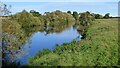 River Ure at Roecliffe Grange in HG4 5AW