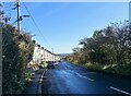 Looking down Towneley Terrace in NE39 2AR