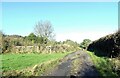 Farm track at Towneley Terrace in NE39 2AR