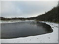 Partly frozen pond at Greenhead Moss in ML2 8NJ