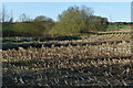 Stubble and pond on Alderholt Common in SP6 3DF