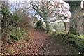 Llwybr Aber-Mangoed / Aber-Mangoed path in Cynwyl Gaeo Community