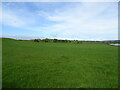 Grassland near Balgray Reservoir in G77 6PG