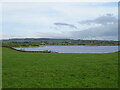 Grassland towards Balgray Reservoir in G77 6PG
