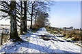 Lane north-north-west of Hatteringill Head in Blindbothel
