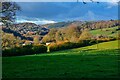 Bovey Tracey : Countryside Scenery in TQ13 9LF