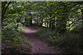 Footpath, Black Spout Wood in PH16 5JA