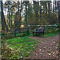 Bench, Carrickshill Wood in DH9 8US