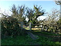 Boundary with kissing gate, Severn Way in BS35 4BJ