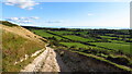On South Dorset Ridgeway on track leading down from White Horse Hill in DT3 6LU