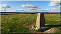 Trig Point at East Hill, South Dorset Ridgeway in DT3 6LU