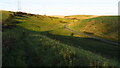 On South Dorset Ridgeway heading down to Combe Valley Road near Sutton Poynt in DT3 6NL
