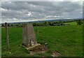 Thornton le Dale, Trig Point in YO18 7QX