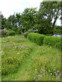 Windmill Lodge Butterfly Garden in Swineshead and Holland Fen Ward