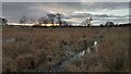 Marshland at Easter Inch Moss in EH47 7PA