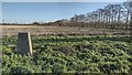 Steventon Hill Trig Point in Milton Hill
