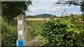 Footpath marker on the Martley Circular Walk in WR6 6QQ