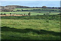 Farmland north of Suttonwood House in SO24 9SF