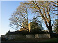Trees and All Saints' church, Pickwell in LE14 2QW