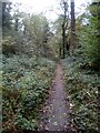 Footpath in Mardyke Woods in RM15 6AU