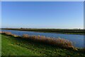 The River Welland north of Crowland in PE6 0HE