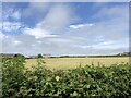 Harvested field, Cae Caradog Farm in Wick Community