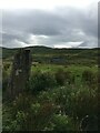 Standing stone near Dubh Loch in PA34 4QU