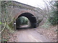 Witley: Mill Lane railway bridge in Enton Green