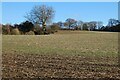 Farmland, Lasham in GU34 5SS
