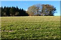 Pasture, Ellisfield in RG25 2QG
