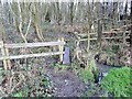 Footbridge at the entrance to Goseley Dale Wood in DE11 7QH