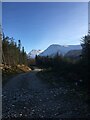 Forestry road near Glencoe Lochan in PH49 4HT