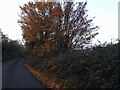Mill Lane, Navestock Heath in Navestock