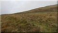 Slopes of Ben Thrush in FK14 7JY