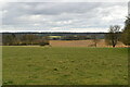 Pasture and farmland beyond in TN30 7NQ