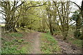 Footpath to the Reading Sewer in TN30 7NQ