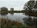 Southern corner of the moat at Broadoak Farm, Torkington in SK7 4NP