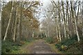 Path on Dartford Heath, towards Old Bexley Lane in DA1 3QY